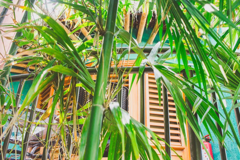 Cocos Cabanas Playa Del Carmen Adults Only Dış mekan fotoğraf