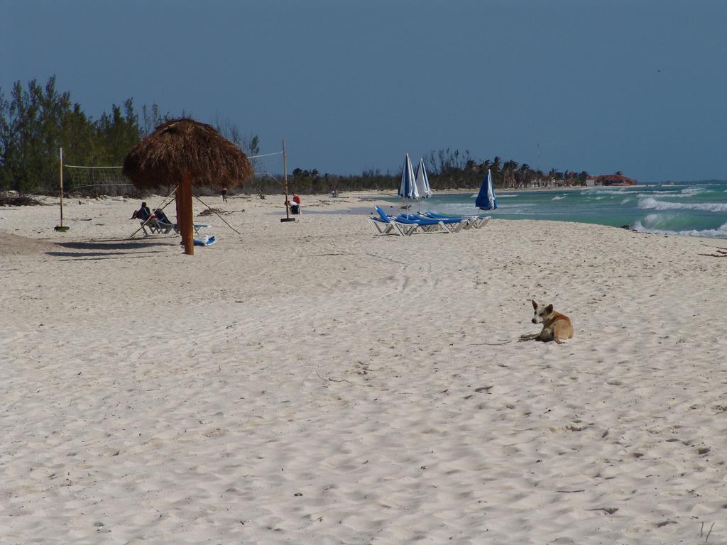 Cocos Cabanas Playa Del Carmen Adults Only Dış mekan fotoğraf